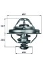 MAHLE TX 38 80D termostat,lichid racire