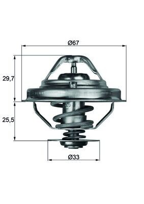 MAHLE TX 38 80D termostat,lichid racire foto