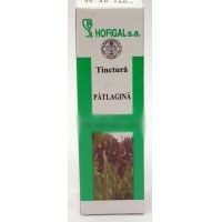 TINCTURA PATLAGINA 50ml HOFIGAL foto