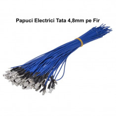 Papuc Electric 4,8mm Tata cu Fir, Set 100 Buc foto