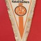 Fanion fotbal - 1.FC KAISERSLAUTERN (Germania)