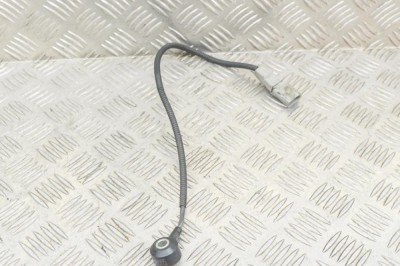 Senzor de detonație motor PORSCHE CAYENNE 92A 2016 OEM: 06E905377C | 13470238 foto