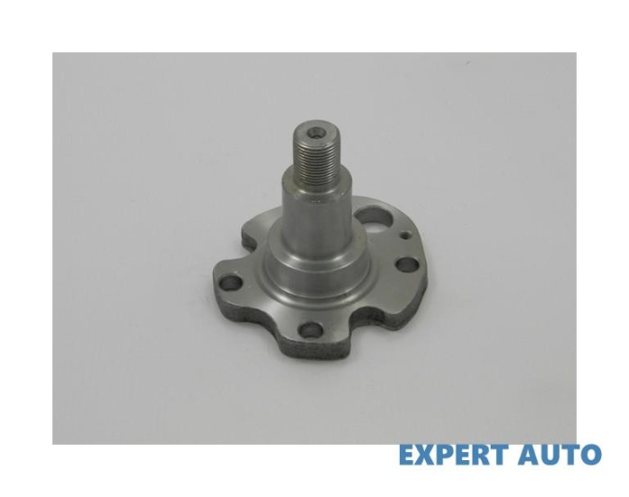 Butuc roata spate fara rulment Seat Leon 1 (1999-2006)[1M1] #1