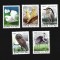 china mnh