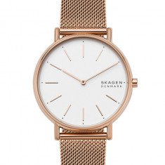 Skagen - Ceas SKW2784