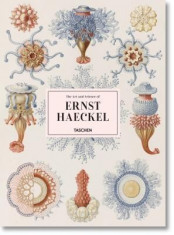 Ernst Haeckel foto