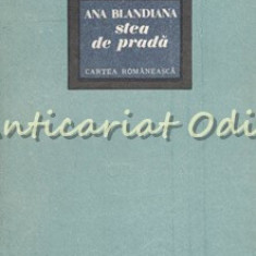 Stea De Prada - Ana Blandiana