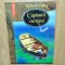 CAPITANII CURAJOSI -RUDYARD KIPLINK