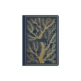 ESV Illuminated Scripture Journal: Romans