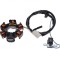 Stator aprindere 6 bobine Peugeot Ludix, echivalent 768349 Cod Produs: MX_NEW AI22606