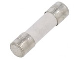 Siguranță &icirc;nt&acirc;rziere 2,5A 250V 5x20mm, ESKA