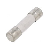 Siguranță &icirc;nt&acirc;rziere 2,5A 250V 5x20mm