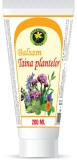 BALSAM TAINA PLANTELOR 200ML