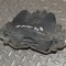 Etrier de fr&acirc;nă dreapta față LAND ROVER RANGE ROVER EVOQUE L538 2017 13886058