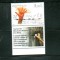 ROMANIA 2007-ZIUA INTERNATIONALA A HOLOCAUSTULUI, SERIE CU TABS, MNH - LP 1754a