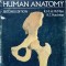 A COLOUR ATLAS OF HUMAN ANATOMY-R.M.H. MCMINN, R.T. HUTCHINGS-279803