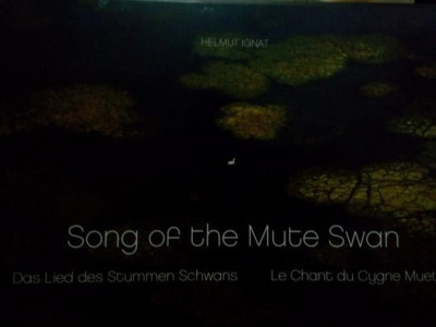 Helmut Ignat - Song of the Mute Swan (2009) foto