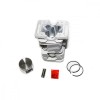 Set motor complet YUSEN/SILEN 43mm FarmGarden AgroTrade, Micul Fermier