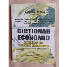 Dictionar economic- Cornelia Tureac, Andreea Frangulea