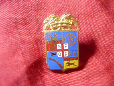 Insigna veche Italia SPQR , cu embleme regiuni , h=2,5cm , metal si email foto