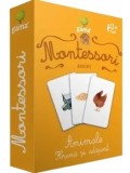 Montessori. Asocieri. Animale. Hrana si adapost/***