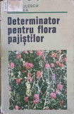 DETERMINATOR PENTRU FLORA PAJISTILOR-C. BARBULESCU, P. BURCEA