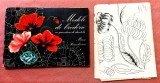Modele de broderie cu garnituri de dantela. Contine planse. Editura Tehnica, 1976 - Maria Paraschivoiu
