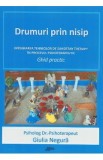 Drumuri prin nisip. Ghid practic - Giulia Negura