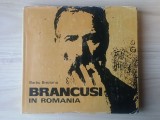 Barbu Brezianu - Br&acirc;ncuși in Romania (1974, text &icirc;n limba engleză)