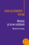 Mistica si lume cotidiana (ebook)