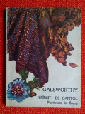 Sfirsit de capitol, Pustietate in floare Vol. 2 - John Galsworthy
