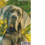 Calendar de buzunar, imagini caini 2025