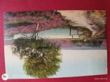 Regalitate Romania, carte postala superba, Circulata, Printata