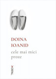 Cele mai mici proze - Paperback brosat - Doina Ioanid - Nemira