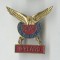 Insigna veche Aviatie Marea Britania RCAF