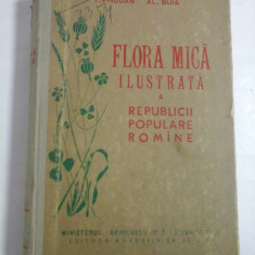 FLORA MICA ILUSTRATA A R.P.R - I. PRODAN Al. BUIA