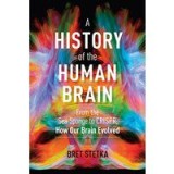 History of the Human Brain
