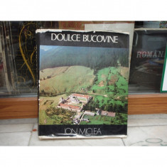 Doulce Bucovine , Ion Miclea , 1976