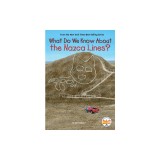 What Do We Know about the Nazca Lines?