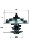 Termostat lichid racire Audi A3, Tt; Ford Galaxy I, Galaxy Mk I; Mercedes V Class; Porsche Cayenne; VW Bora I, Corrado, Eos, Golf III, Golf IV, Golf