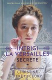 Secrete - Christine Feret-Fleury, Epica, Roman, Beletristica, Mister, Aventura, 2021, 205 Pagini