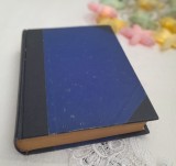 Problemele fundamentale ale Transilvaniei, volumul II ☆Victor Jinga☆