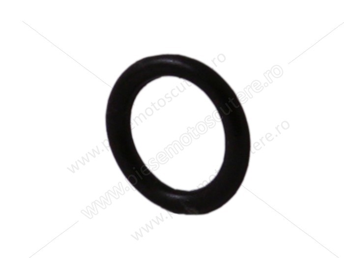 O-ring ghid supapa