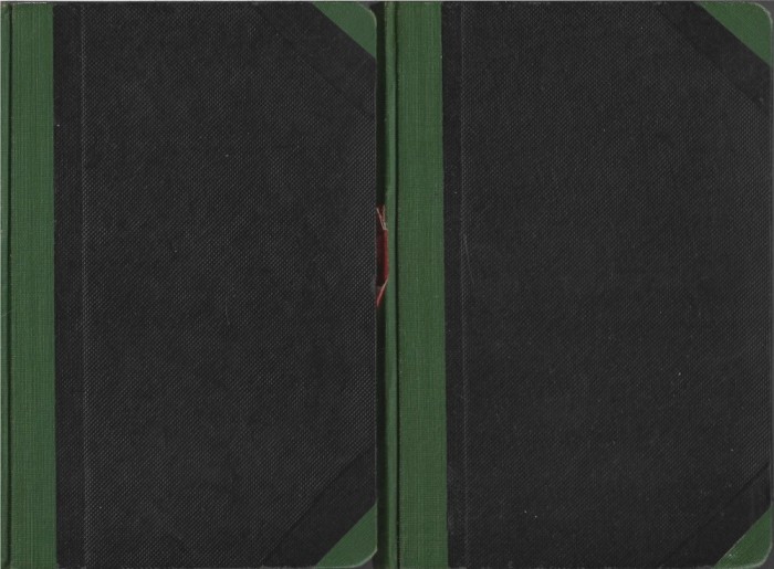 C9375N Răsboiul aerian de H G Wells, volumul I și II, fără an