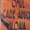 OMUL CARE ADUCE PLOAIA