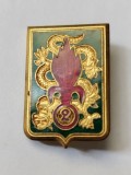 bnk ins Franta - Insigna militara Legiunea Straina - 2nd Foreign Infantry Regiment ( 2e REI)