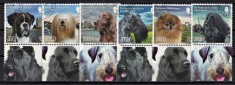 JERSEY 2013 - Rase de caini /serie completa MNH