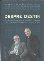 AS - GABRIEL LIICEANU &amp;amp; ANDREI PLESU - DESPRE DESTIN foto