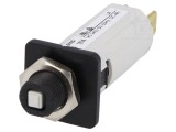 &Icirc;ntrerupător Supracurent 240VAC 48VDC 12A SPST