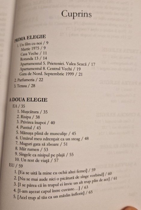 Elegiile de la Dorweiler Gellu Dorian